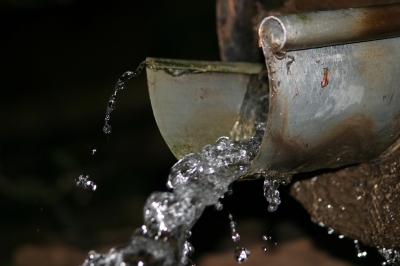 wertvolles Regenwasser (Quelle: Ricardo Stephan / pixelio.de)