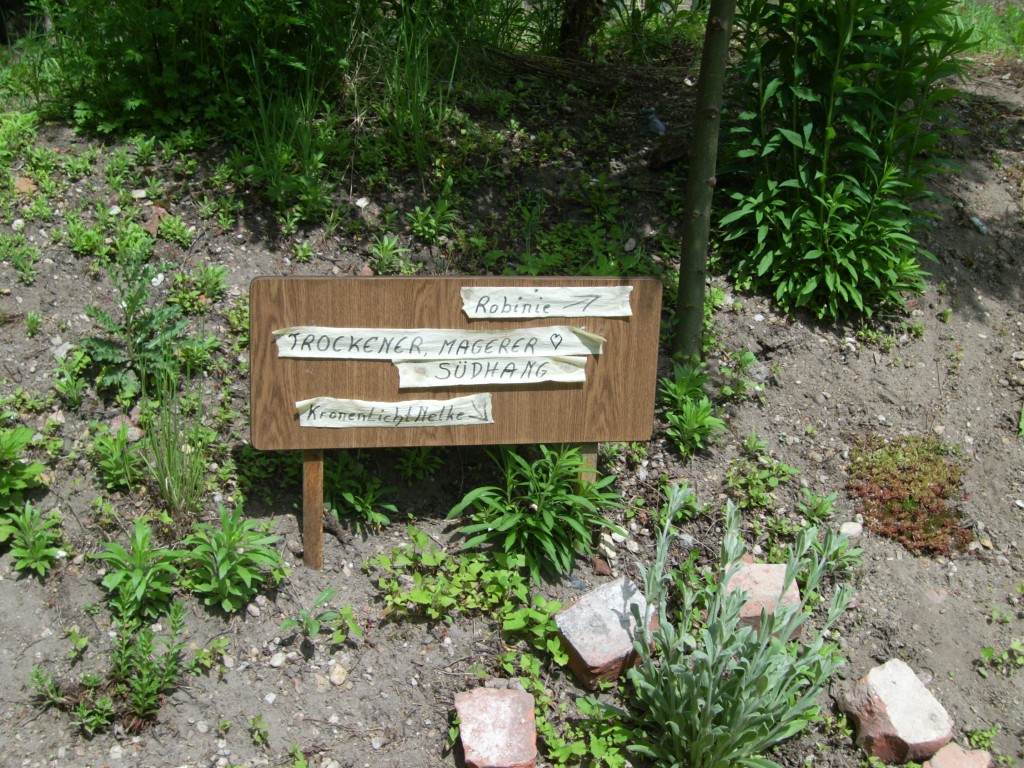 Trockener Südhang Trockener Südhang