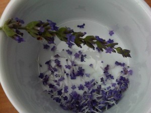 Lavendelblüten Lavendelblüten