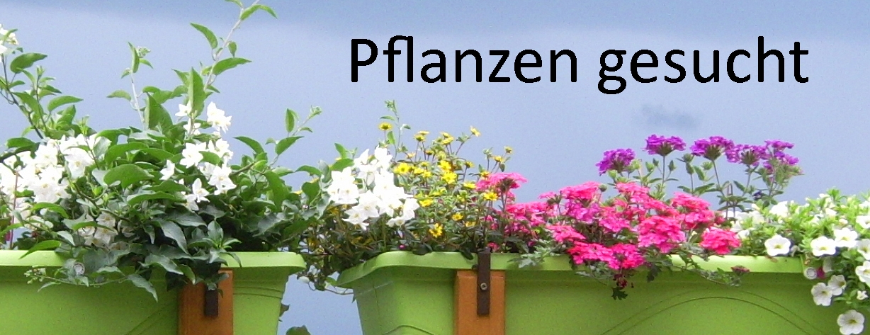 Pflanzen gesucht