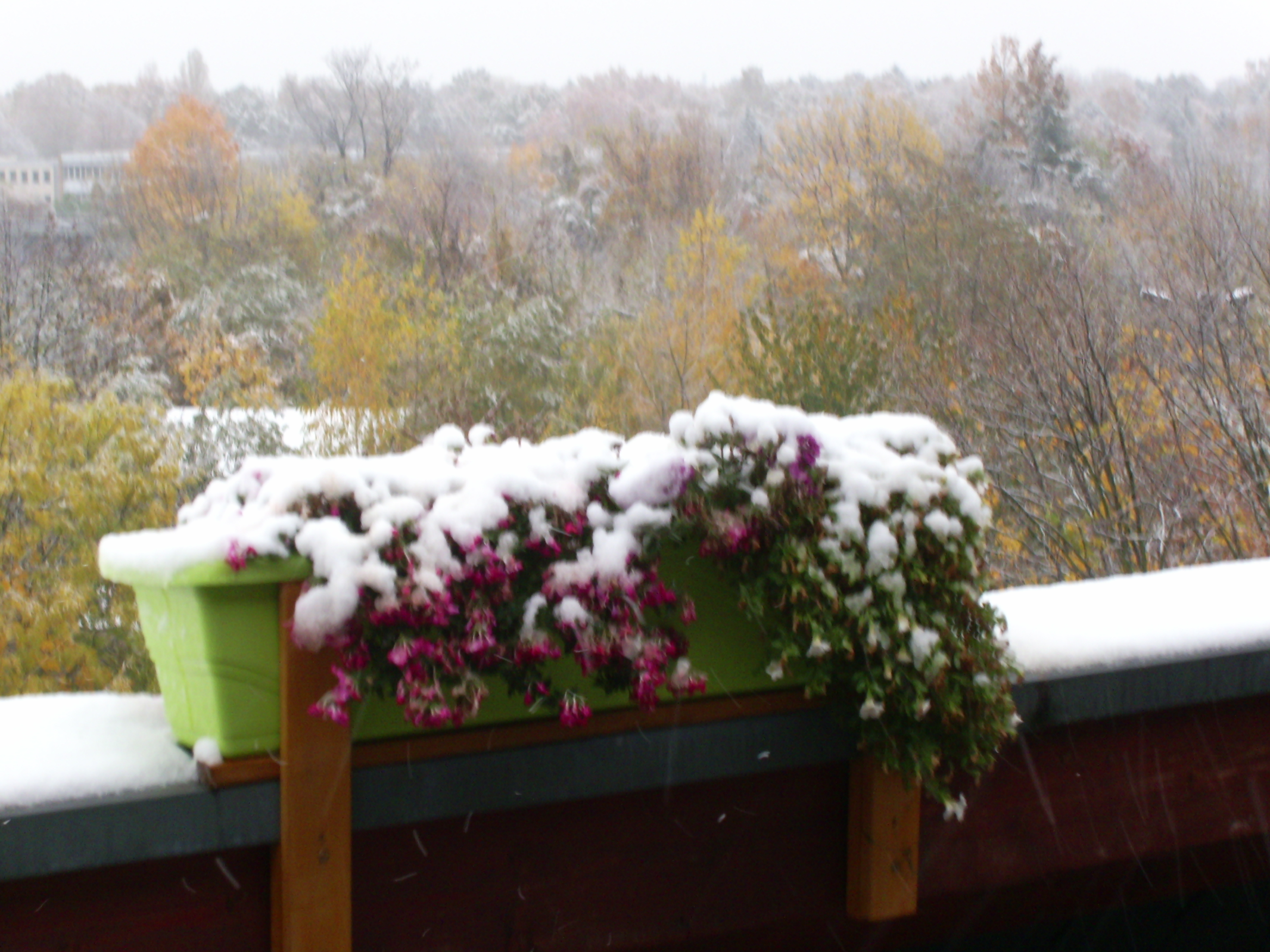 plötzlicher Wintereinbruch auf dem Balkon