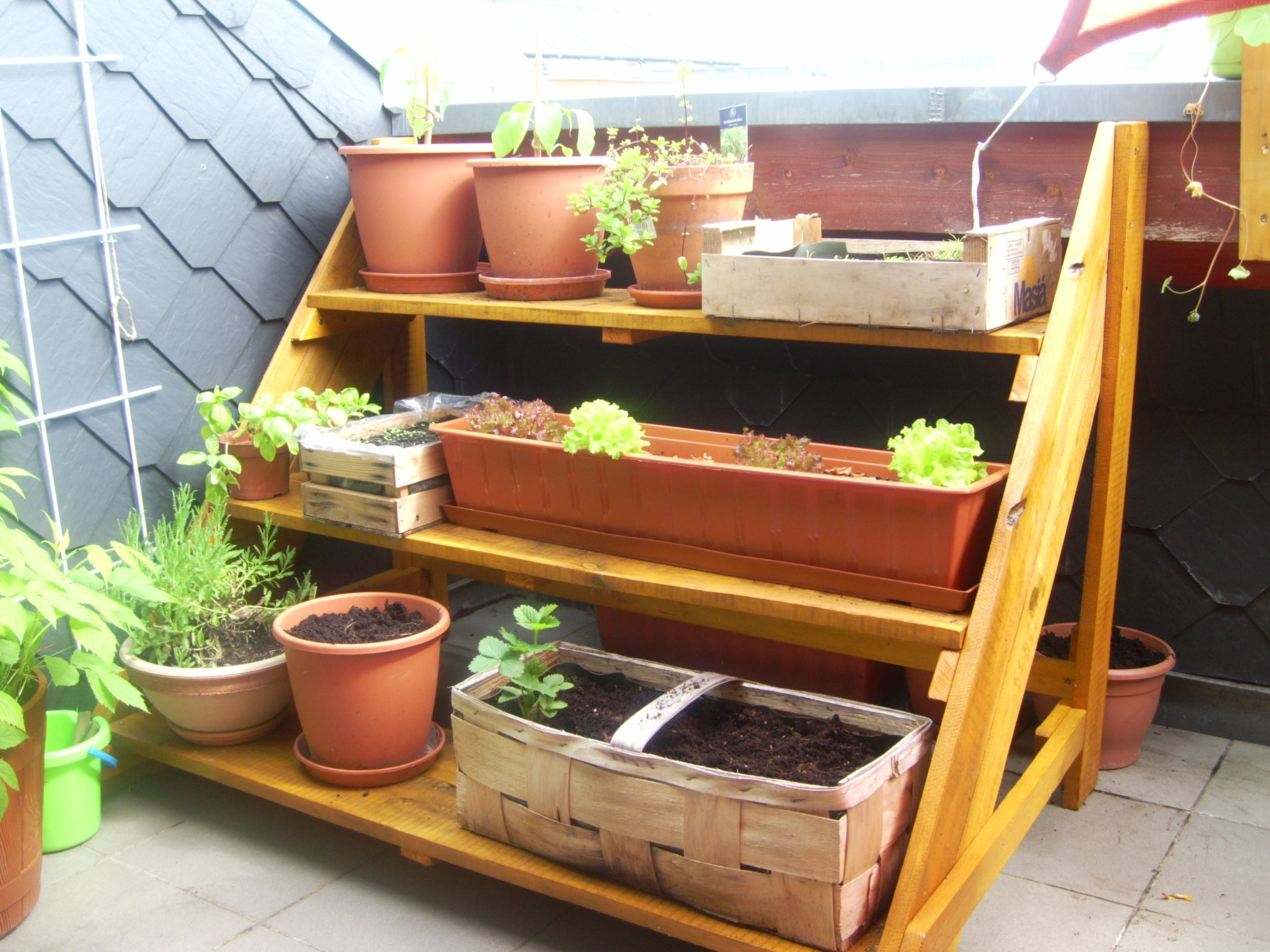 Mehr Ordnung dank Pflanztreppe | mein Balkongarten