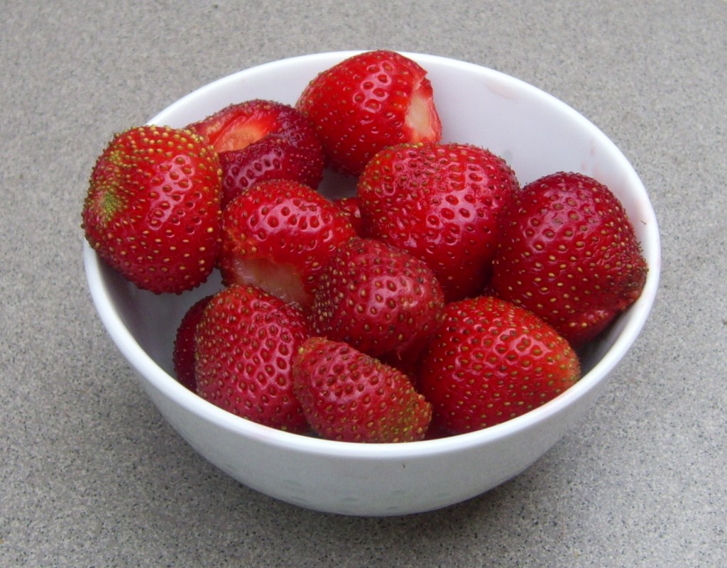 Erdbeeren