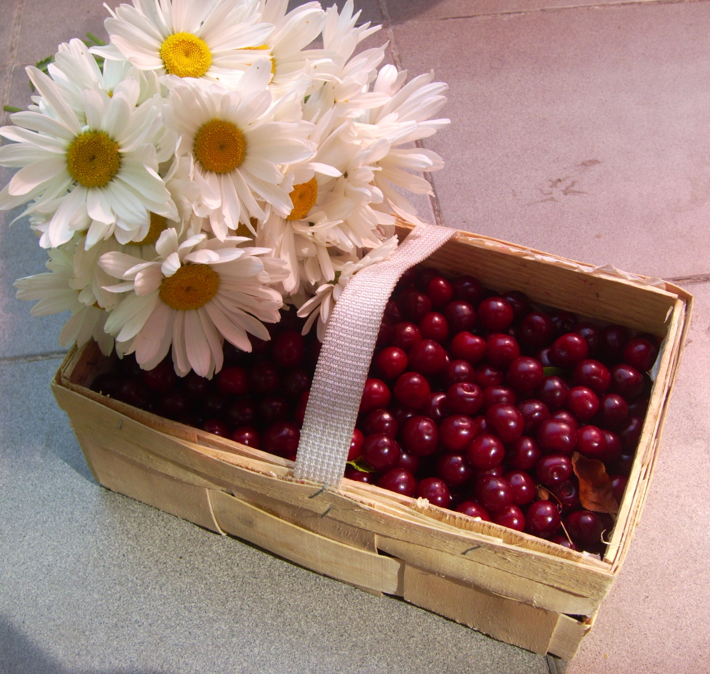 Blumen gegen Kirschen