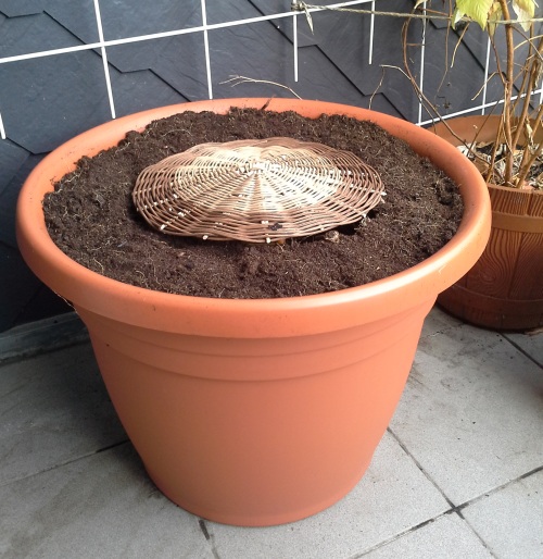 Balkonkompost Minikompost für Balkon